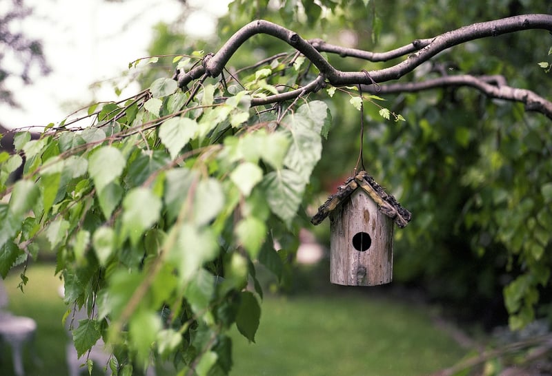 Whimsical Decor