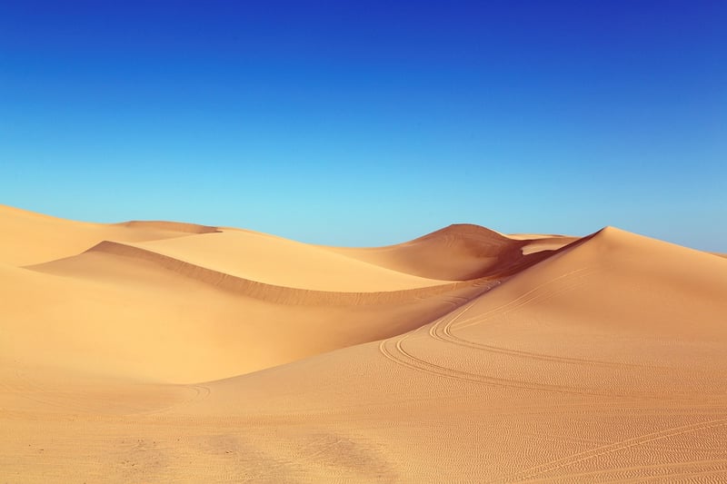 Peaceful Desert Oasis